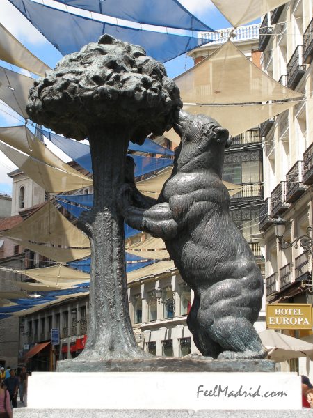 The Bear and the Strawberry Tree - El Oso y el Madro�o